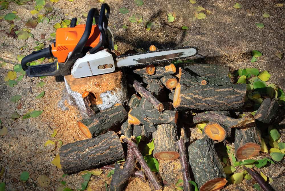A chainsaw from a tree removal company in Berks County, PA, rests on a tree stump surrounded by freshly cut logs and branches on a sawdust-covered ground. Leaves are scattered around, highlighting a recent woodcutting activity in this outdoor setting.