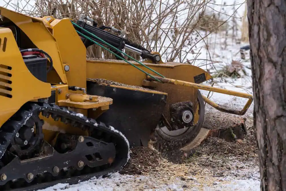 A yellow stump grinder machine from a leading Tree Company in Berks County PA cuts into a tree stump in a snowy outdoor setting. The scene features tracks on the grinder for mobility and wood shavings scattered around, with barren branches in the background.