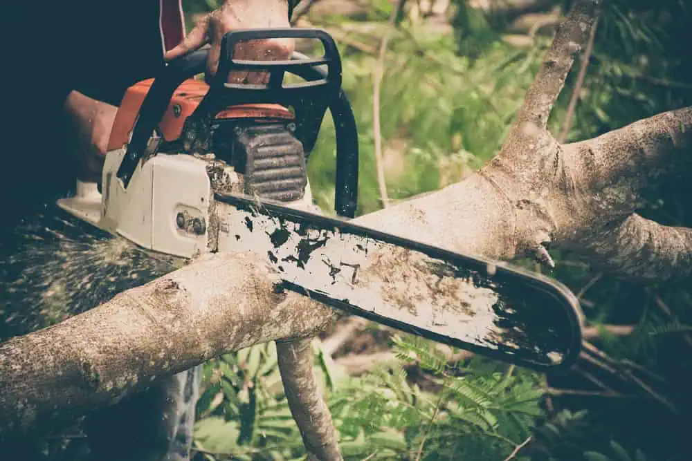 A person uses a chainsaw to cut through thick tree branches, demonstrating expert tree care in Berks County PA. The scene is outdoors, wrapped in lush greenery. The chainsaw's blade is visibly worn, and wood shavings litter the surrounding branches.