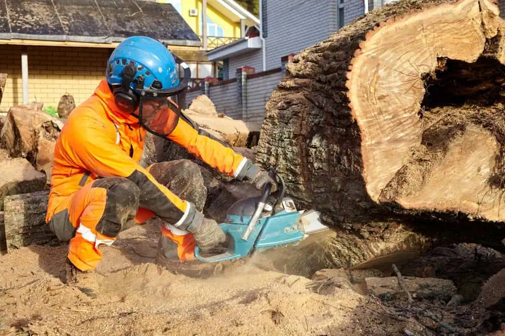 A person wearing orange protective clothing, a blue helmet, and a face shield expertly operates a chainsaw to cut through a massive tree trunk outdoors. Wood shavings fly around as part of the precise work done by Tree Services Berks County PA.