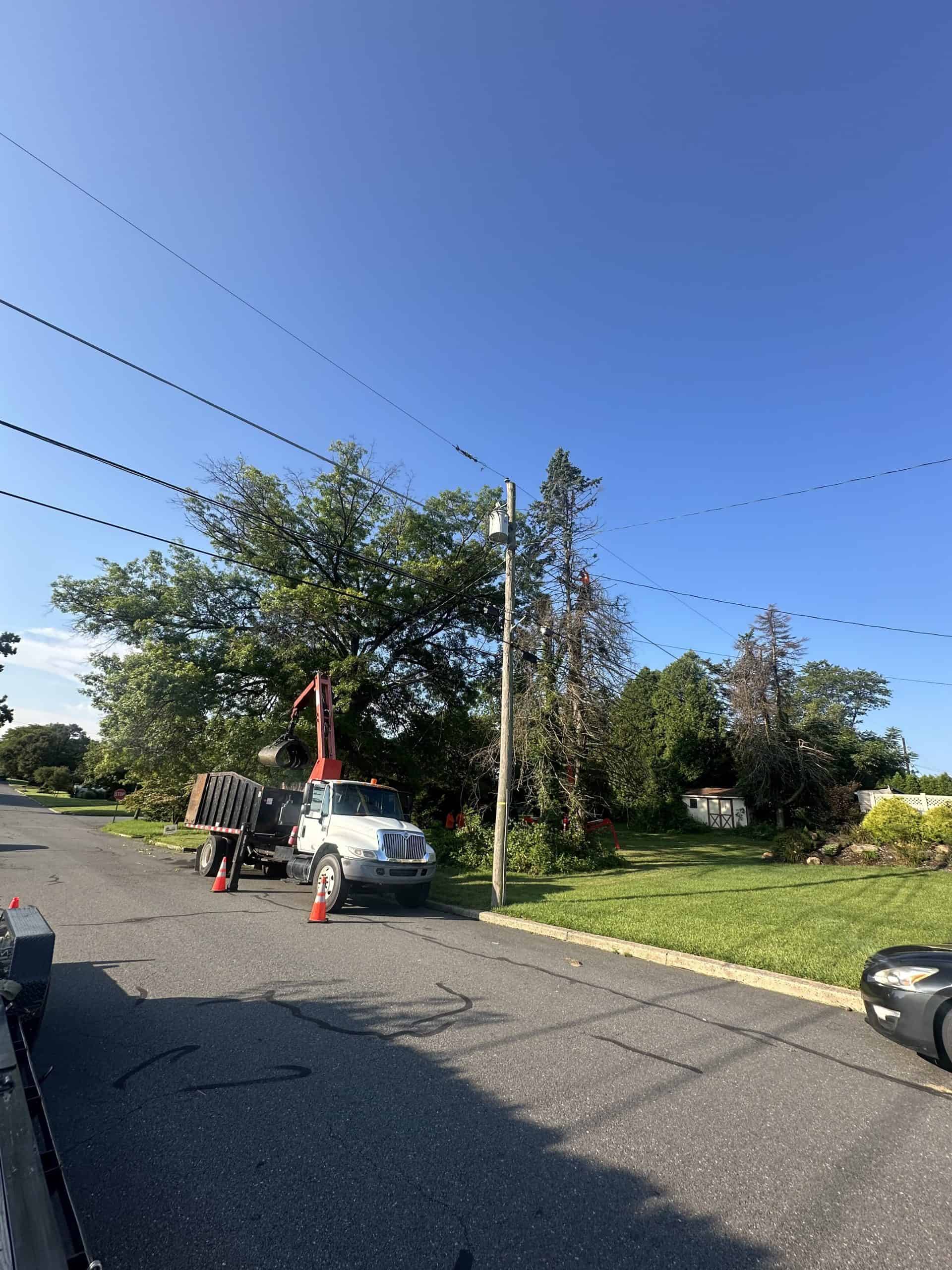 A truck with a crane attachment is parked by the roadside, aiding in tree removal Berks County. One tree is already chopped, and cones are placed nearby. The scene unfolds on a sunny day under a clear blue sky, with grass lawns and houses visible in the background.