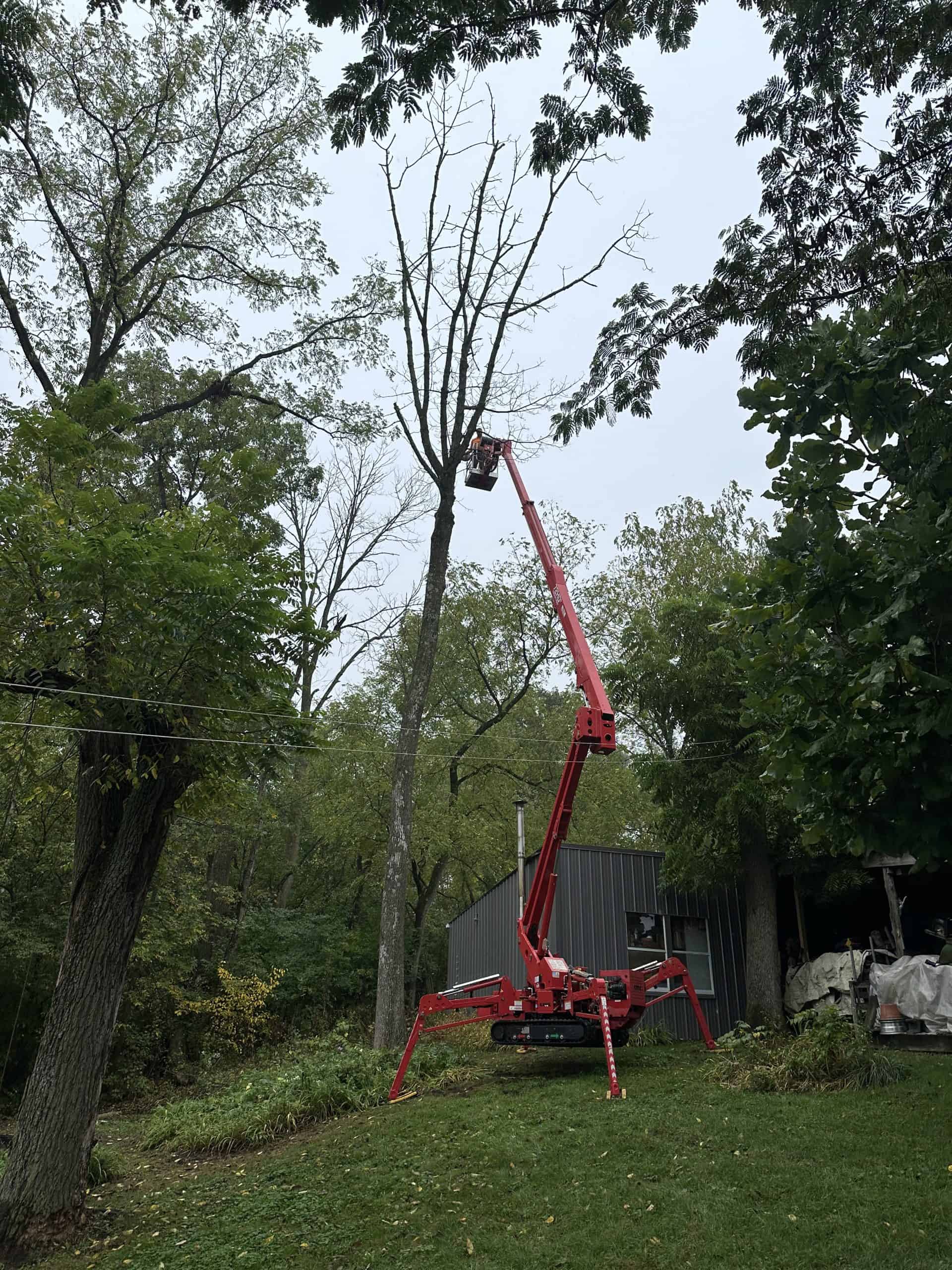 A bright red cherry picker with a worker in the basket trims tall trees near a metal building. The surrounding area is filled with lush green foliage and grass under an overcast sky.