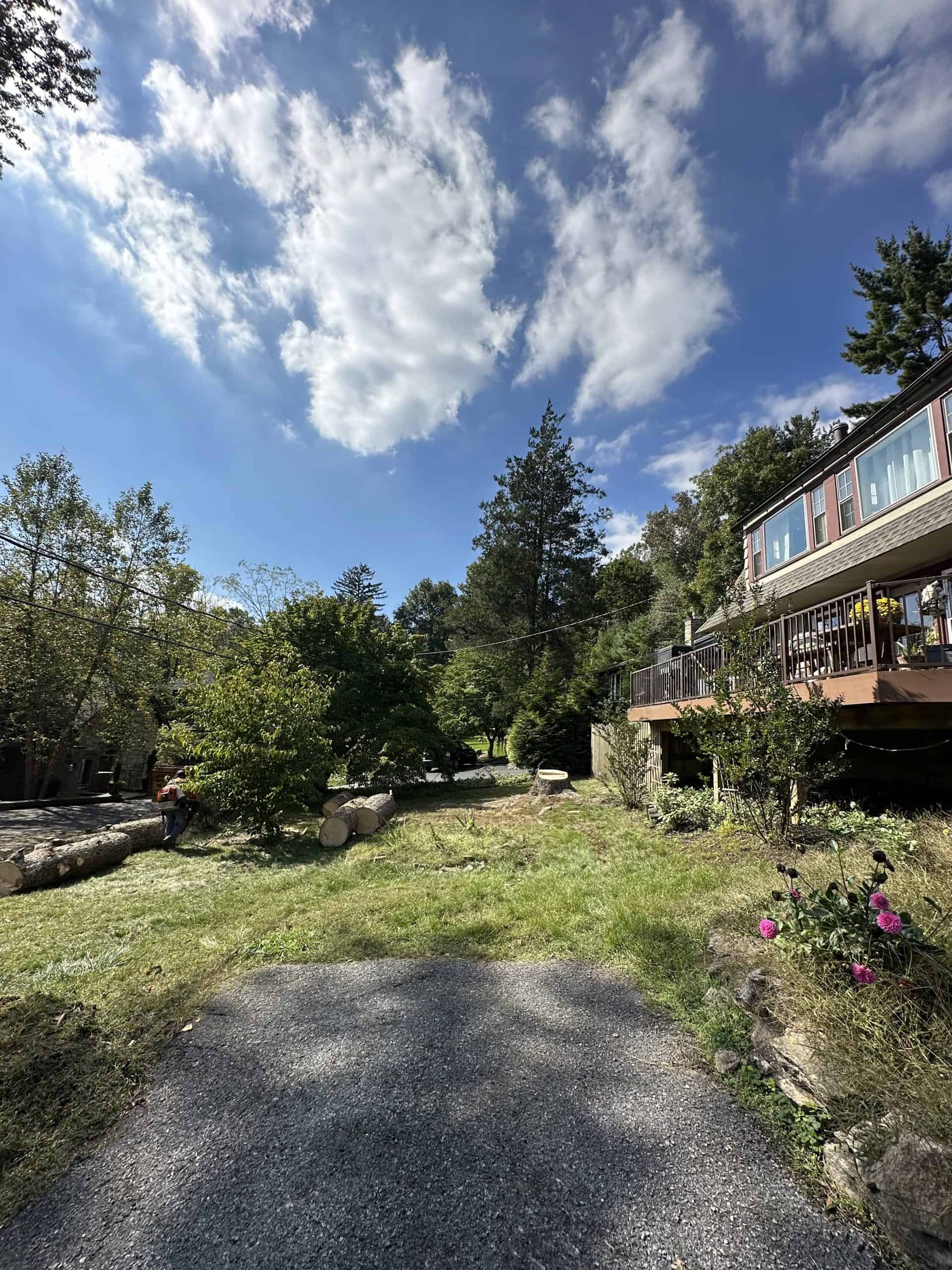 A gravel path leads to a grassy area with cut logs and trees under a partly cloudy sky. On the right, a deck extends from a building, and a few pink flowers are visible in the foreground.