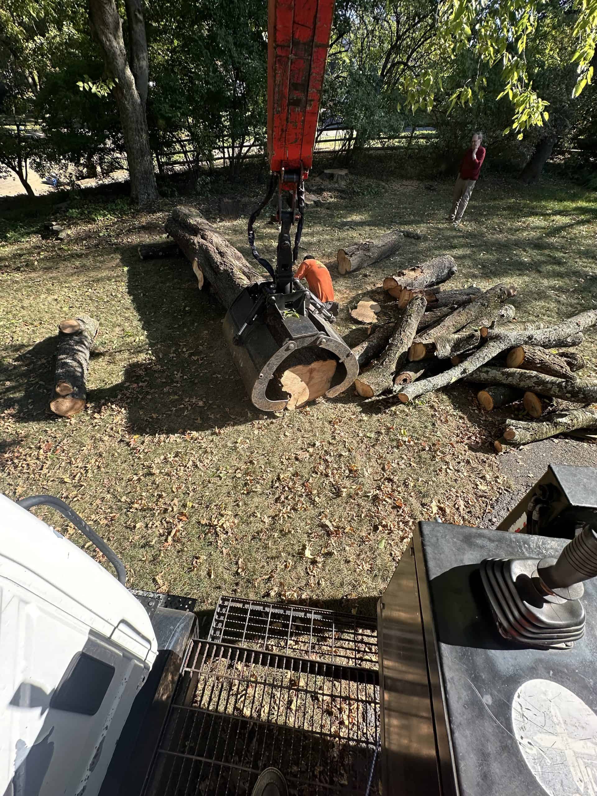 A crane lifts a large tree trunk while a person in an orange shirt stands nearby, with stacks of cut logs in the background. Another person watches from a distance, surrounded by green trees and grass.