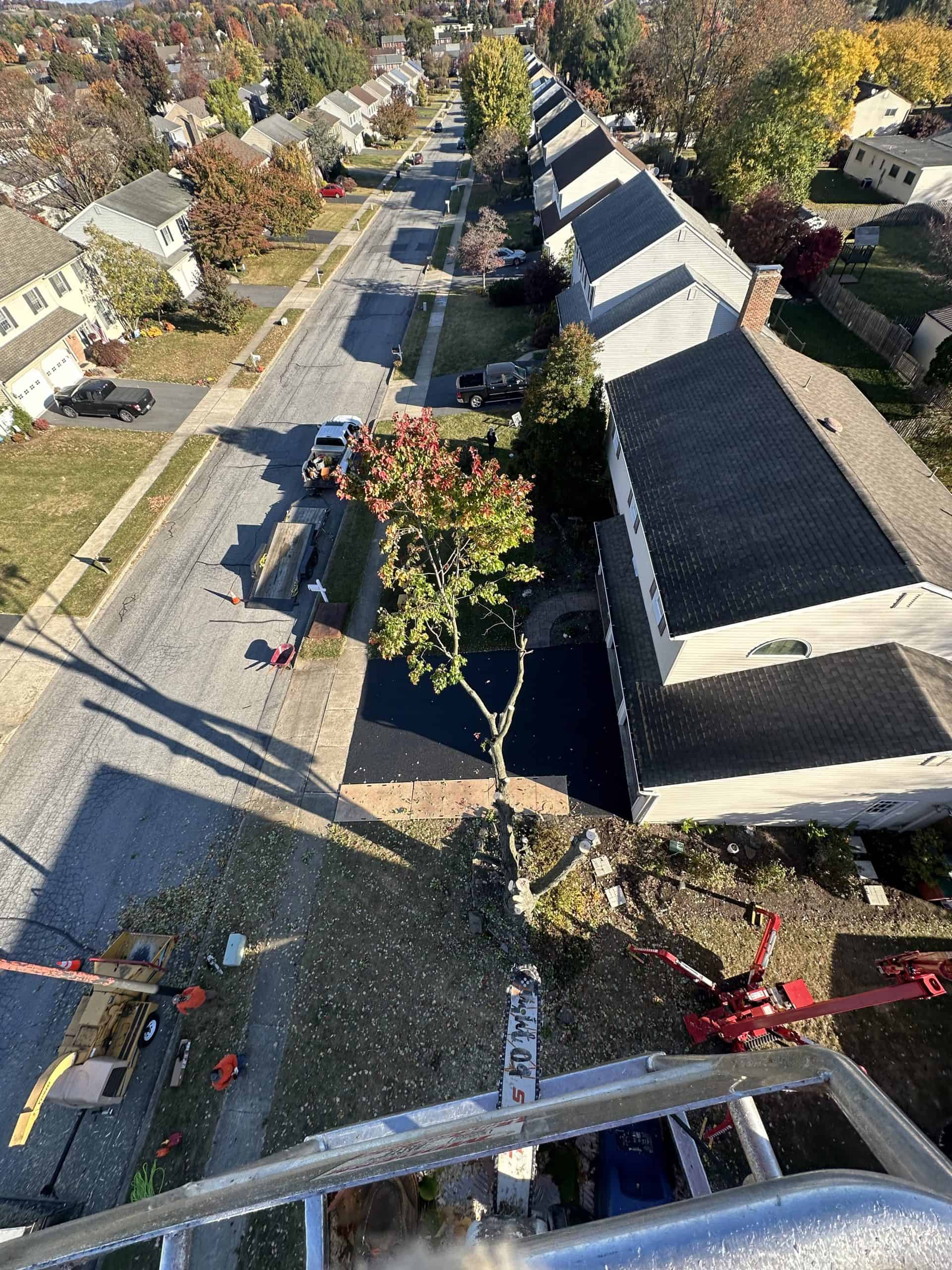 Aerial view of a residential neighborhood showing a tree being trimmed. Workers operate a crane and other equipment. Houses line both sides of the street, with autumn foliage visible. The perspective is from a high vantage point.